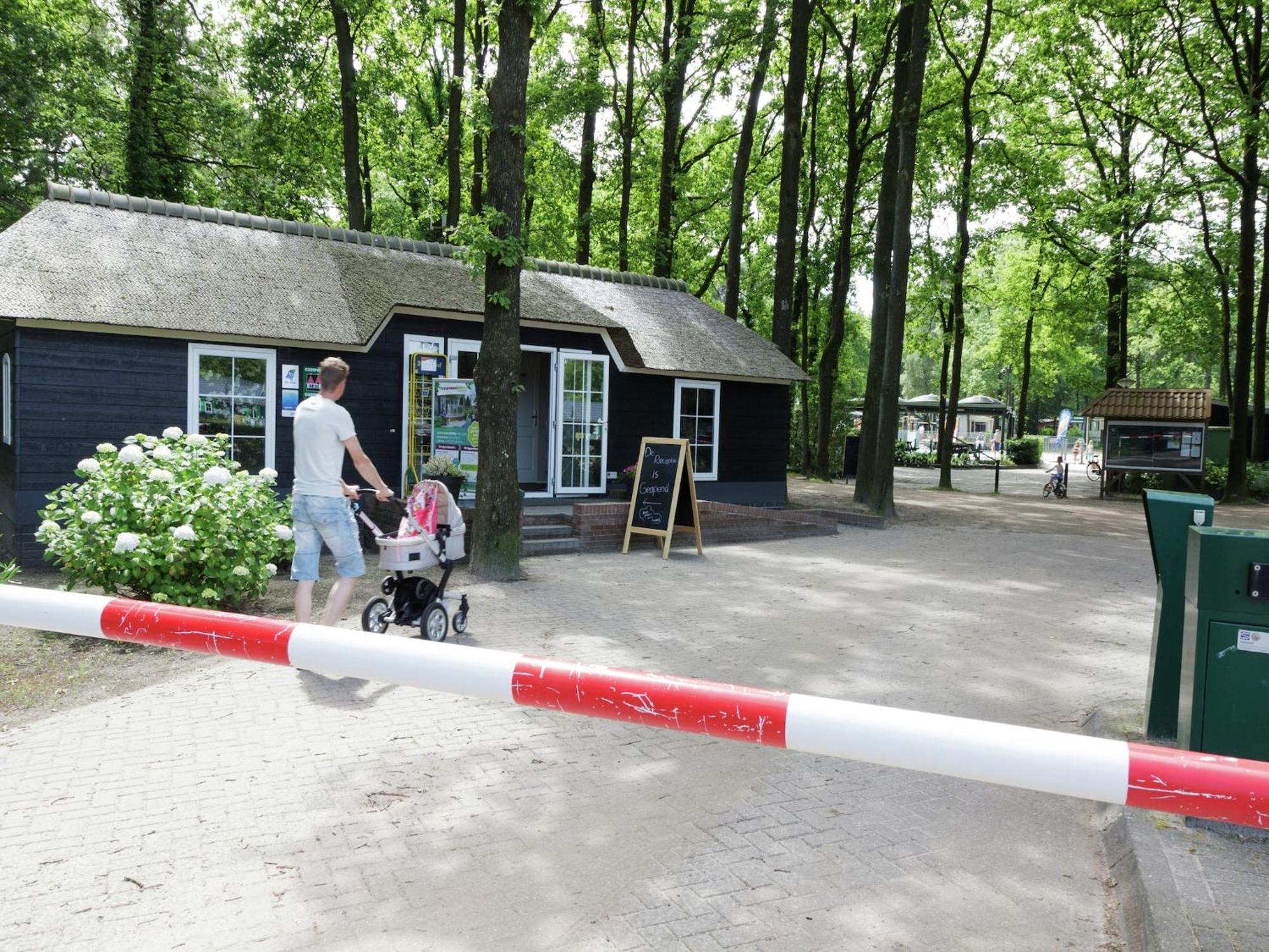 Chalet With Dishwasher, In Natural Environment IJhorst Bagian luar foto